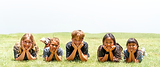2026 Website Homepage (7).png